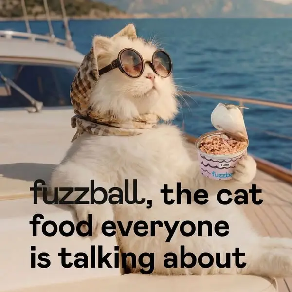 Кадр рекламы Fuzzball
