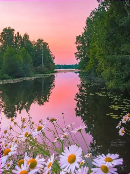 Кадр рекламы Lucienne Fairhaven