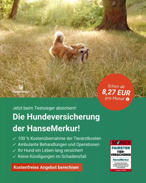 Кадр рекламы HanseMerkur Direkt