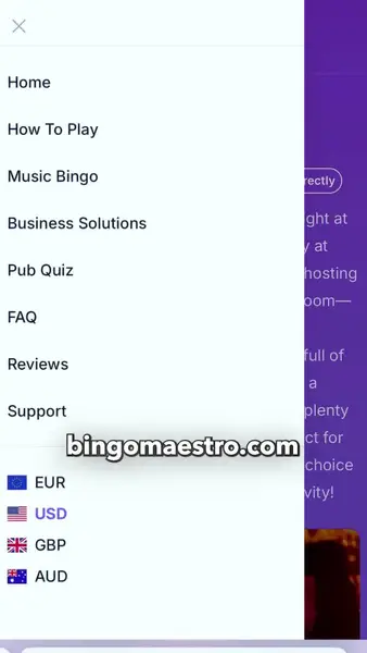 Кадр рекламы BingoMaestro