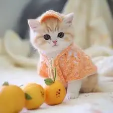 Кадр рекламы Thanh Tâm Thanh