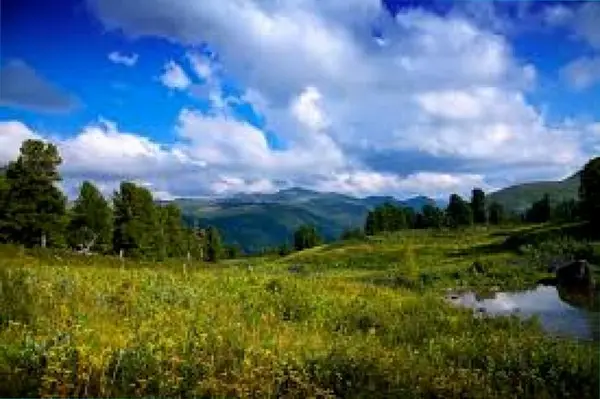 Кадр рекламы Celestia Ardenne