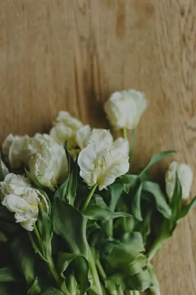 Кадр рекламы Fast heals