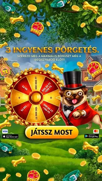 Кадр рекламы SpinMania