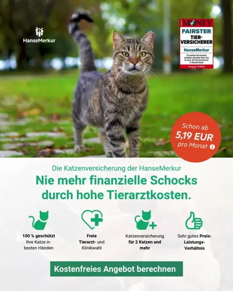 Кадр рекламы HanseMerkur Direkt