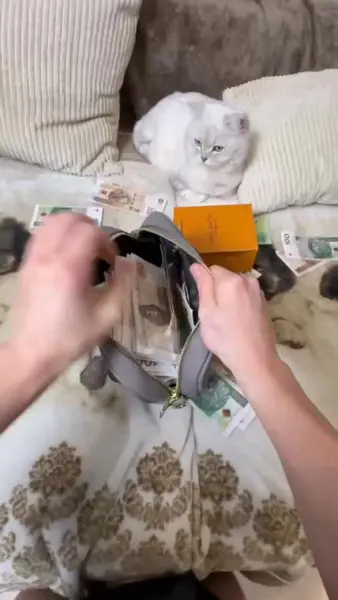 Кадр рекламы Big Win