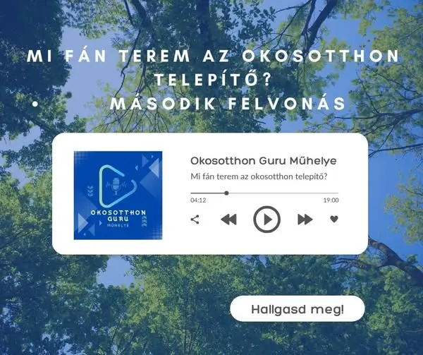 Кадр рекламы Okosotthon Guru