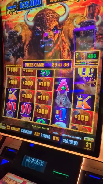 Кадр рекламы BuffaloLink Casino
