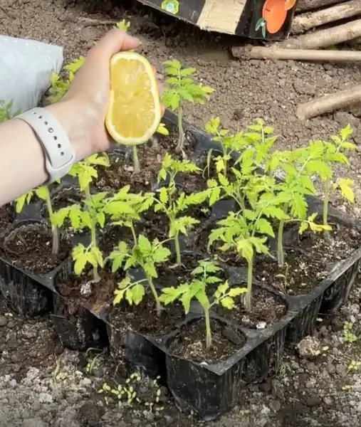 Кадр рекламы Hà Hằng