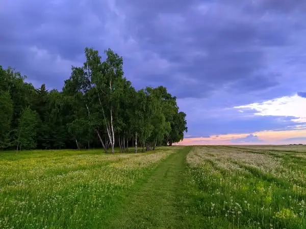 Кадр рекламы NoScope Nation