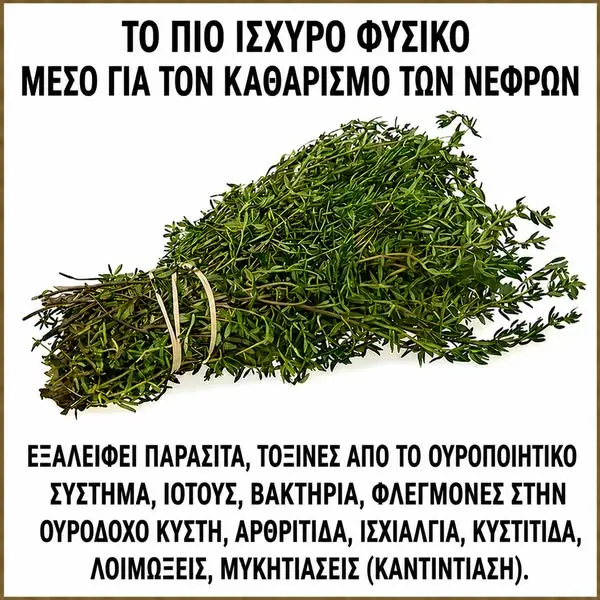 Кадр рекламы Dr.Rengoku