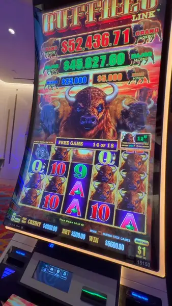 Кадр рекламы BuffaloLink Casino