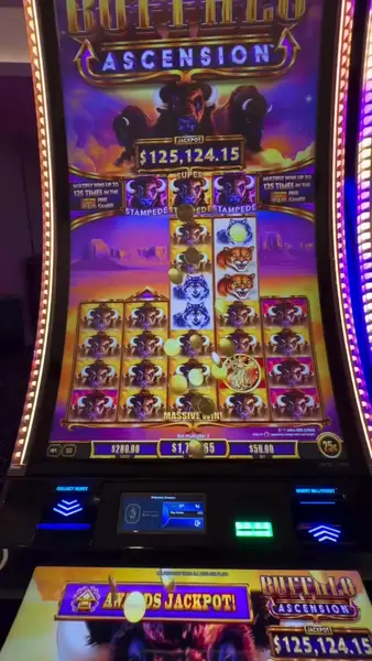 Кадр рекламы BuffaloLink Casino