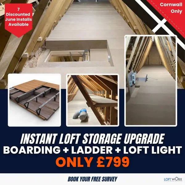 Кадр рекламы Loft-Worx Ltd