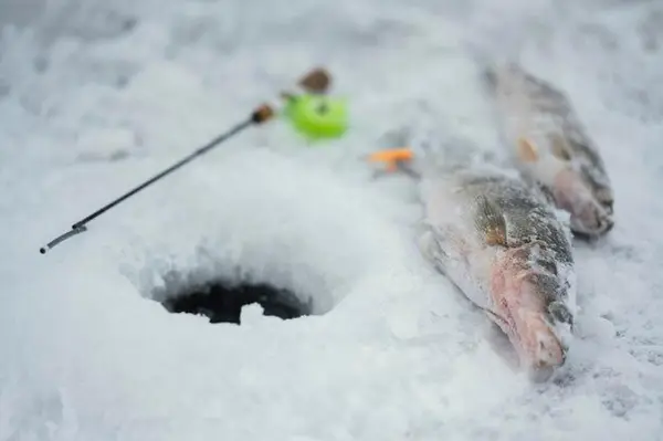 Кадр рекламы Hole Hunter