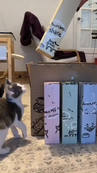 Кадр рекламы Fuzzball