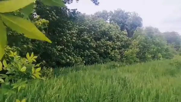 Кадр рекламы Relax Place