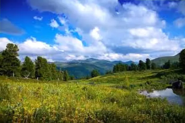 Кадр рекламы Celestia Ardenne