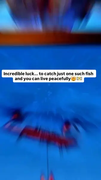 Кадр рекламы Ice Fishing Big Win