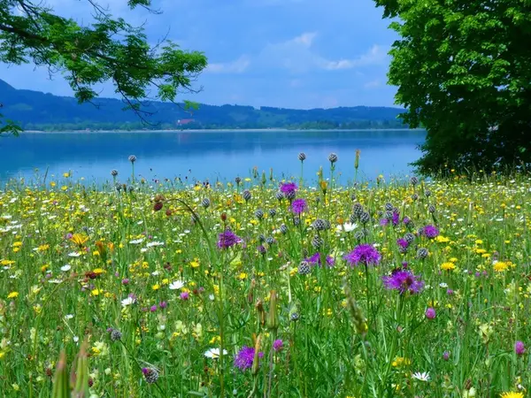 Кадр рекламы Explore Wellness