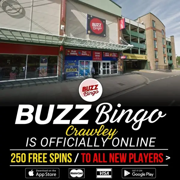 Кадр рекламы Bingo Online
