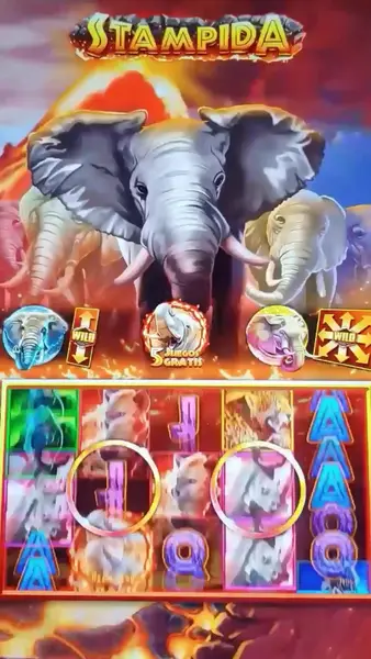Кадр рекламы Play Win