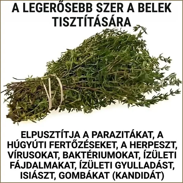 Кадр рекламы Dr. Greg Huff