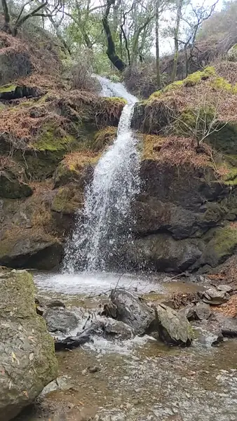 Кадр рекламы Tăng Dân