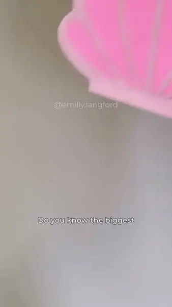 Кадр рекламы Emilly Langford