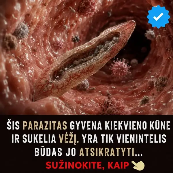 Кадр рекламы Janice Sanchez
