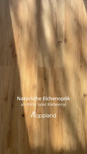 Кадр рекламы Oppland