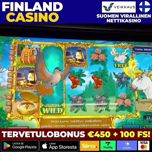 Кадр рекламы Finland Casino