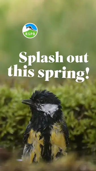 Кадр рекламы RSPB