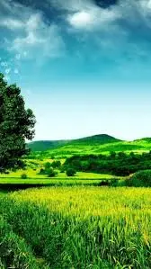 Кадр рекламы Green very 