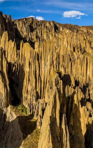 Кадр рекламы Cù Khánh