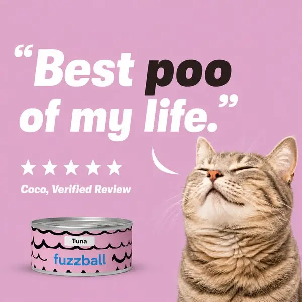 Кадр рекламы Fuzzball