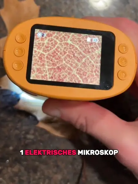 Кадр рекламы Junior Lab