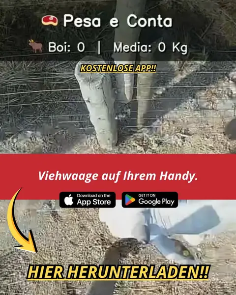 Кадр рекламы Best Apps