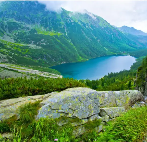 Кадр рекламы Silver Trail
