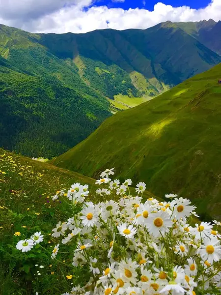 Кадр рекламы Giao Bảo