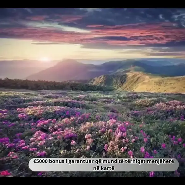 Кадр рекламы Chicken Road Online
