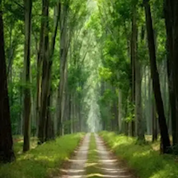 Кадр рекламы A 2