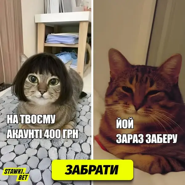 Кадр рекламы Stawki.Bet