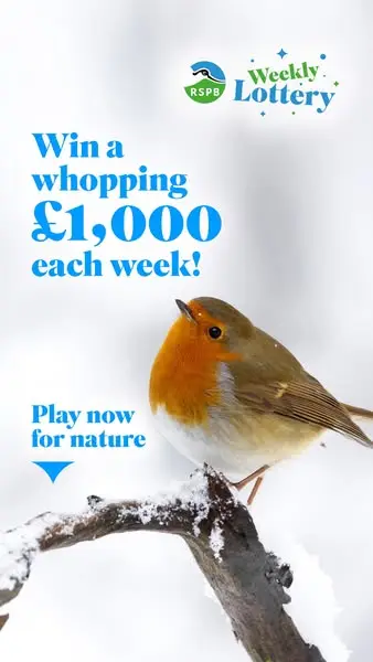 Кадр рекламы RSPB