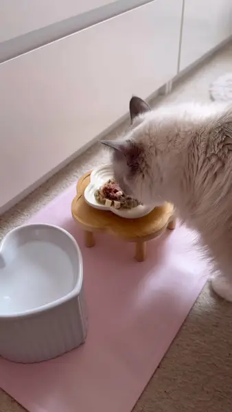 Кадр рекламы Fuzzball