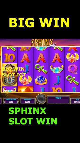 Кадр рекламы Sphinx Wild