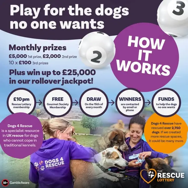 Кадр рекламы Dogs 4 Rescue