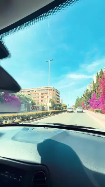 Кадр рекламы Concessionaria Ottolini Cagliari