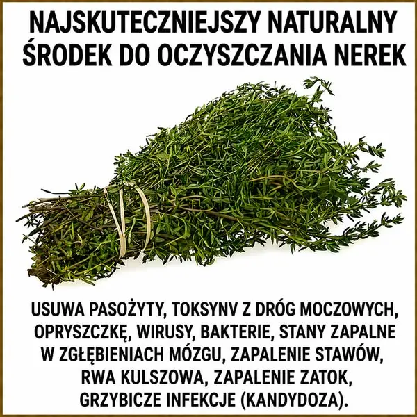 Кадр рекламы Dr med 2