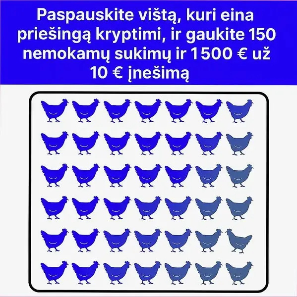 Кадр рекламы CoCowin